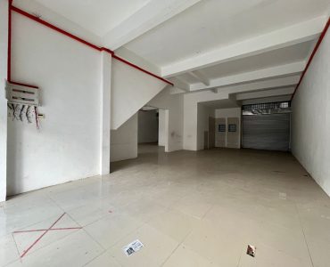 1183e185-55d7-481d-97f2-90aee718a8e9