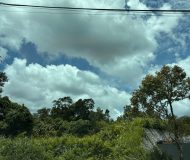 478dbd6b-7ff1-4f50-9280-a14404ef97a3