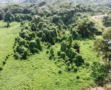 bcdd6c9b-731c-4347-918c-493aff1c3791