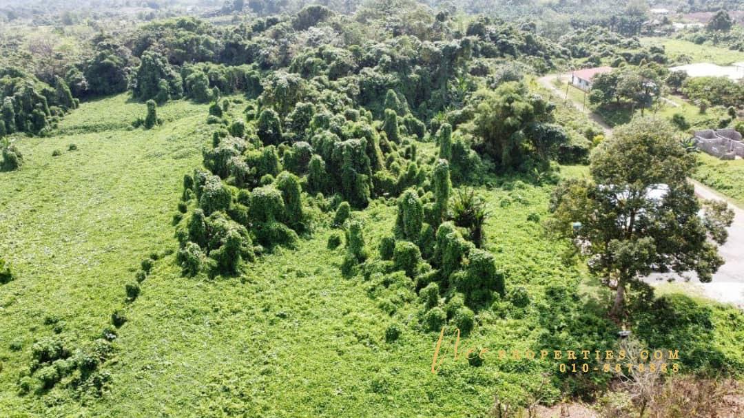 bcdd6c9b-731c-4347-918c-493aff1c3791