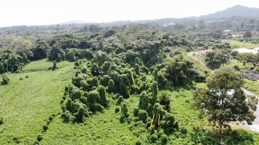 d2ac6f07-1036-452a-b2c0-22aad6871a13