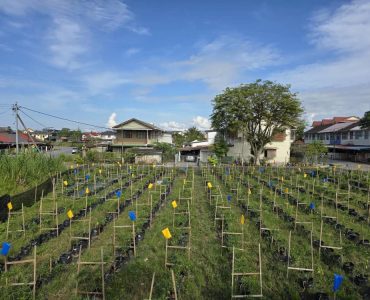 7b7a46a1-37e0-4381-93c0-22533db1e5db